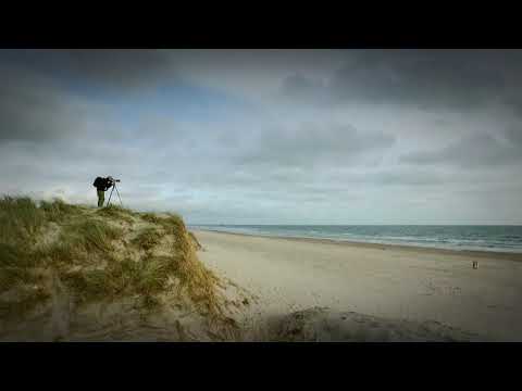 Nationalpark Vadehavet - Skallingen