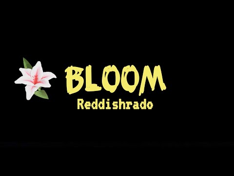 Bloom (Tiny Desk Contest Submission - 2025)