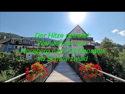 Hitzewanderung von Hornberg-St.Georgen | Bilderstrecke | 19 KM one way hike 🤪