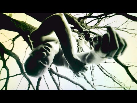 MLODY LESZCZ – PIEKŁO