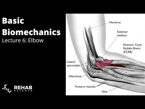 Biomechanics Lecture 6: Elbow