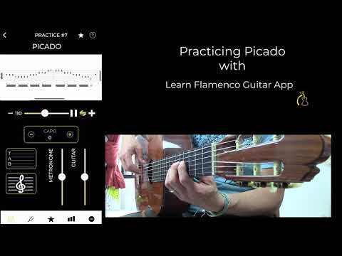 Picado technique Practice session with Learn Flamenco Guitar App