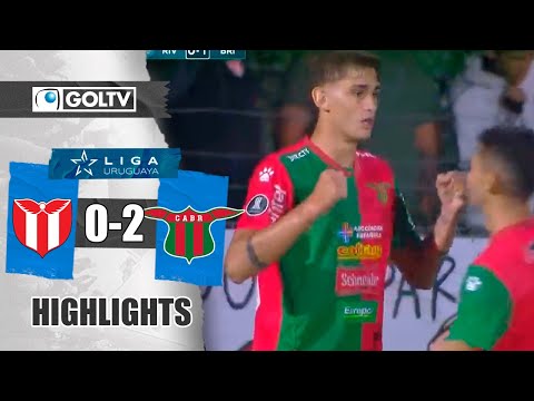 bg-highlight