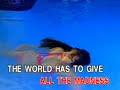 Video Karaoke I WON T LAST A DAY WITHOUT YOU Carpenters D Concorde