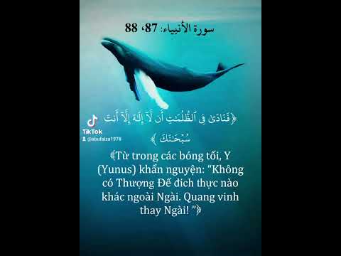 #98 LỜI CẦU XIN CỦA NABI YUNUS   TILAWAH ISLAM SOHBI
