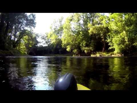 Die Leine in 3 Minuten