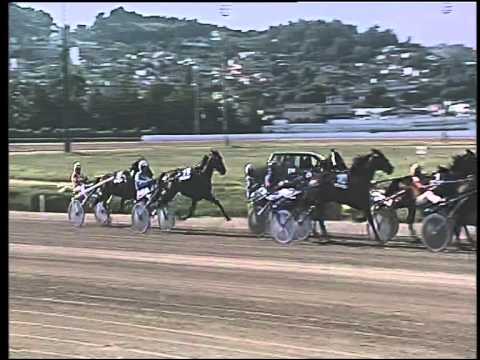 Trotto 11/06/2015 - 5° corsa