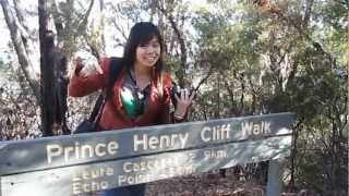 Sights & Sounds: Flying Fox Helihike, Fox Glacier