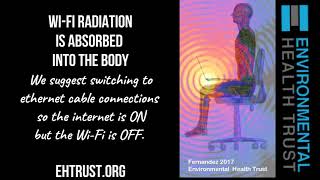 Wi-Fi Laptop on Lap: Watch Radiation Into Body: Learn How To Protect Yourself