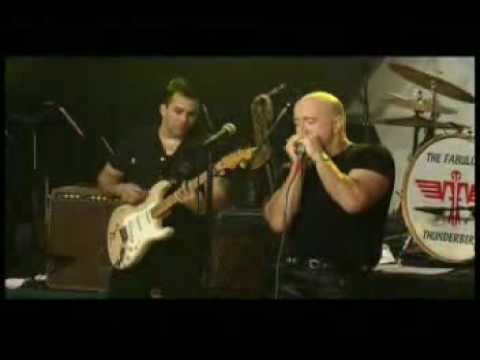 Fabulous Thunderbirds - I believe I'm in love