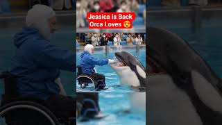 Download lagu jessica is back #jassica #jassicarip #tiktok #trend #shortsvideo #shorts mp3