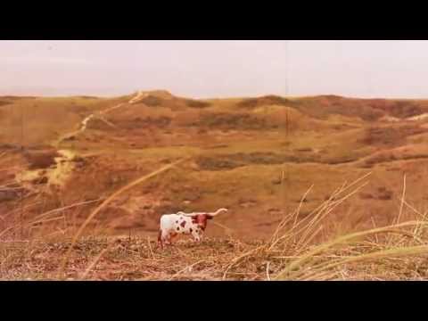 COPY004 - Timboletti - Minga Express (Video Cut)