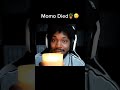 CoryxKenshin S Plant Momo Died