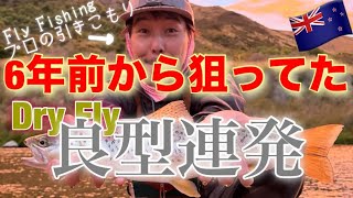 【ニュージーランド フライフィッシング】ゴア滞在で「ドライの楽園」へ｜マタウラリバー良型ブラウントラウト連発
