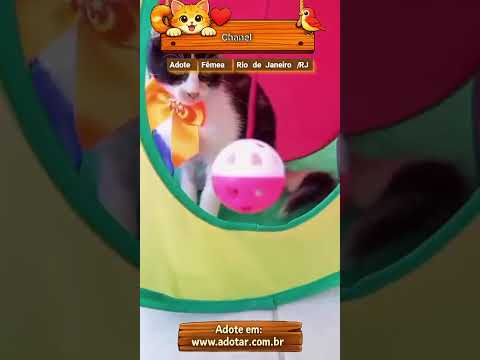Vídeo de Chanel