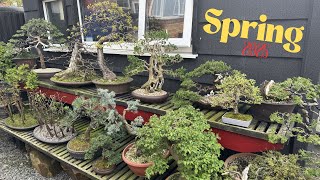 What's Happening in My Spring Garden in 2025?