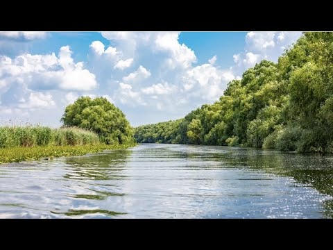 Cum trăiesc oamenii în inima Deltei la Crișan.