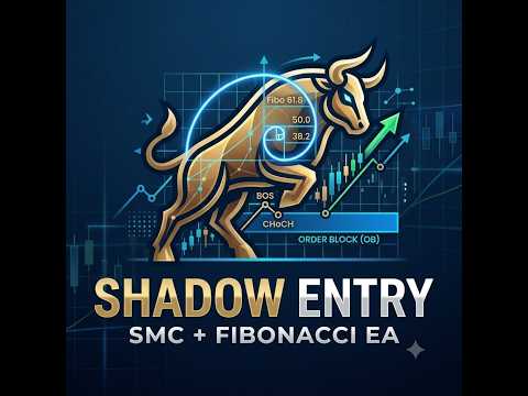 Video Shadow Entry