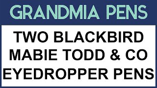 TWO BLACKBIRD M T & CO EYEDROPPER PENS