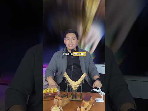 Matematikawan Prediksi Belanda Menang Pildun 2026, Tak Pernah Meleset?