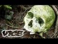 Suicide Forest in Japan - YouTube