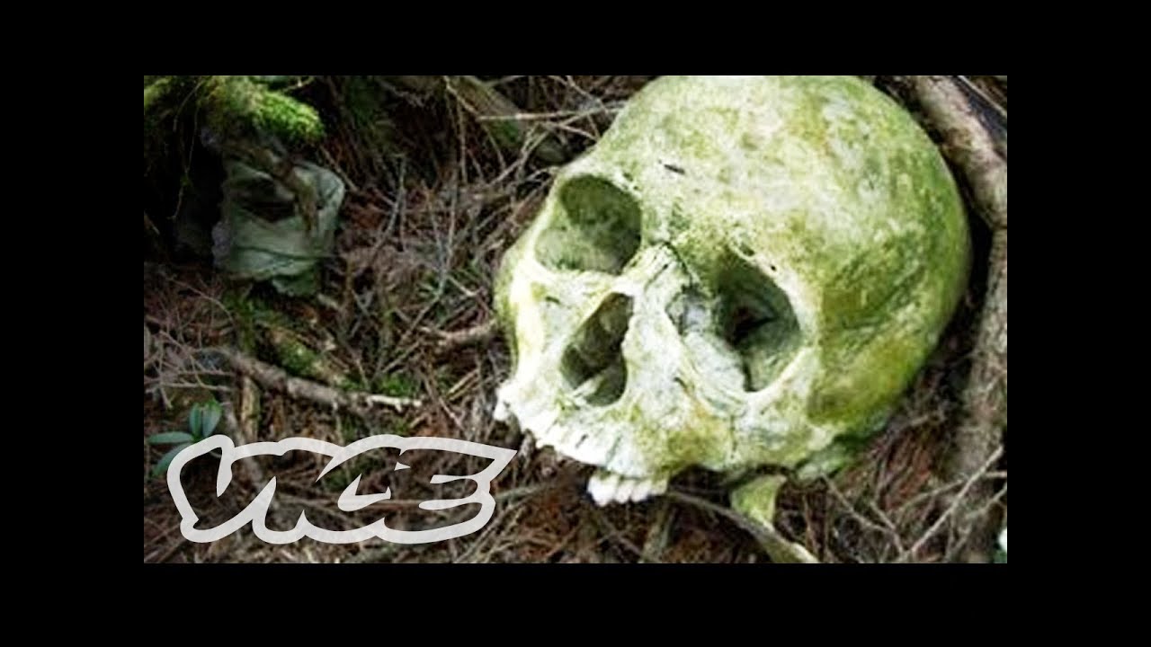 Suicide Forest in Japan