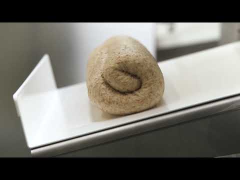 video 1, Ligne pains longs haute performance inox