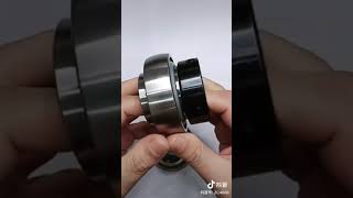 NSK 6006du Bearing