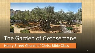 The Garden of Gethsemane Part 3: Jesus&#39; Agony and Prayers