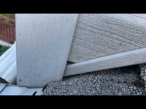 Yellow Jackets Hovering Near Second Story Window in Tinton Falls, NJ