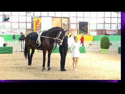 Joke Tepest (RHL) - Damen 43 - DJM Krumke 2019