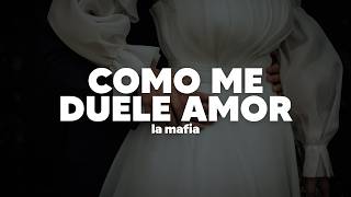 La Mafia - Como Me Duele Amor | Letra