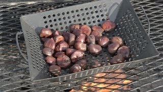 From the Pit: How to Roast Chestnuts on an Open Fire