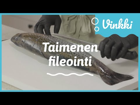 Taimenen fileointi | Kalan käsittely