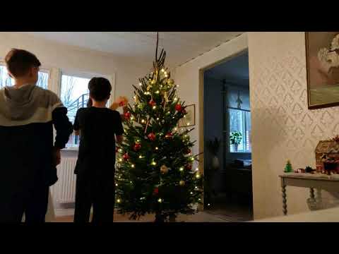 Julgran 2020 Oriongatan 8