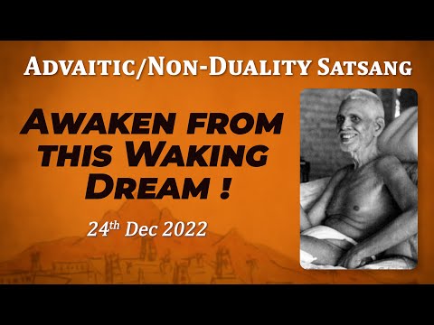 506. Bhagavan Ramana Satsang -  Awaken from the waking-dream!