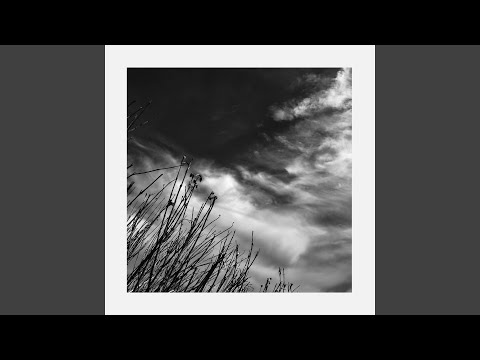 Cada Una De Mis Soledades