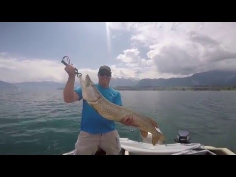 Hecht schleppen 23.05.2015