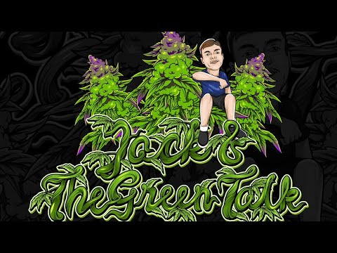 Medical Cannabis UK, Patient Review INTEGRO CLINIC  👍Pros/Cons👎