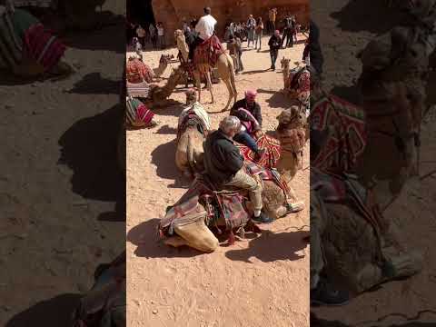 Riding camels in Petra Jordan! #adventure #explore #travel #explorepage #foryou #fyp #shorts