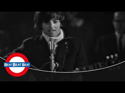 The Mindbenders - In The Midnight Hour (1966)
