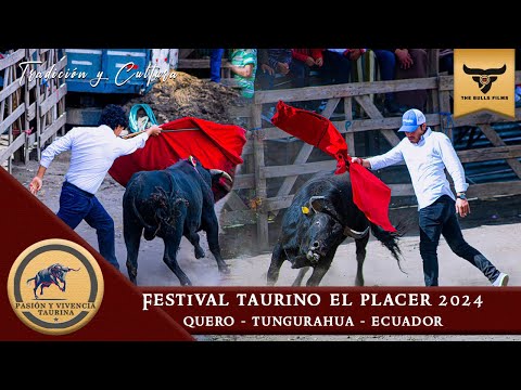 FESTIVAL TAURINO EL PLACER  QUERO 2024 - PRIMERA RONDA || TUNGURAHUA - ECUADOR