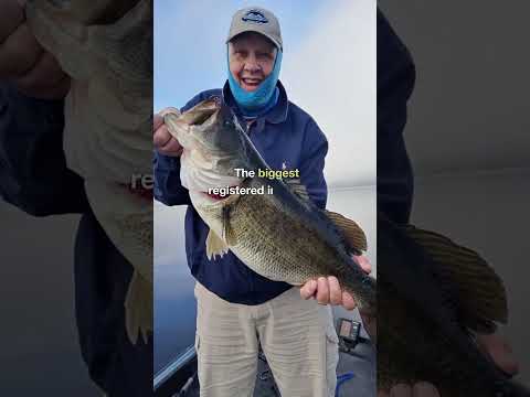 Top 25 Best Bass Lakes in the South - 16 Lake Panasoffkee #bassfishing #fishing #bestbasslakes