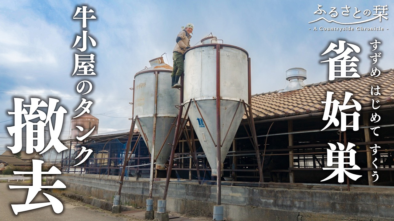 【田舎暮らしの日常】どう動かす…？牛小屋の飼料タンクの片付けと夫婦ふたりで晩ご飯｜田舎暮らし192