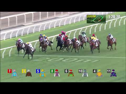 3/4/2022 (555) Golden Sixty - Vincent Ho (G2, The Chairman's Trophy, Back on track!)