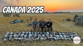 Canada Beatdown || ducks and geese || PART 1