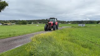 Tracteur &agrave; roues Massey Ferguson 6499 | Image 4 - Agroline