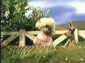 Sesame Street Polly Darton And Benny Rabbit