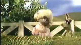 Sesame Street - Polly Darton and Benny Rabbit