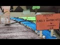 Project On Early Human Life